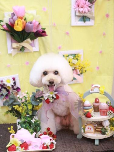 20230318ピッピちゃん